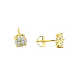 Petty Earrings