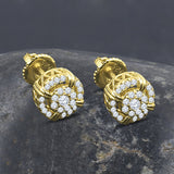 Flair Silver Earrings