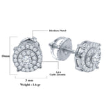 Virtuosity Silver Earrings