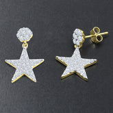 Dazzling Silver Earrings