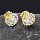 Adulatio Silver Earrings