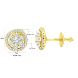 Adulatio Silver Earrings