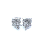 Mystique CZ Rhodium Earrings