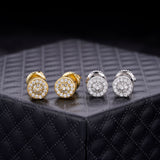 Fortis Sterling Silver Earrings